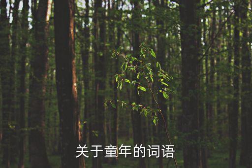 童年好詞，關(guān)于童年的詞語(yǔ)