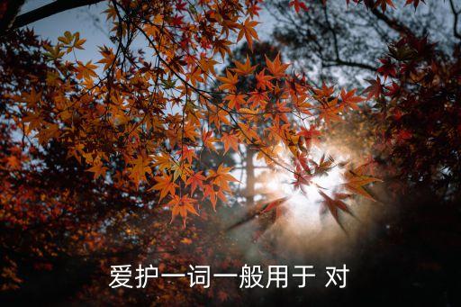 愛護一詞一般用于 對