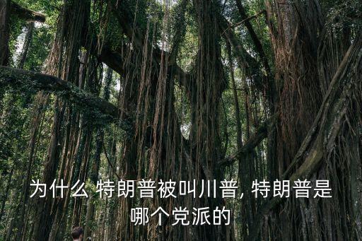 特朗普自傳,特朗普之子伊萬卡證實母親去世