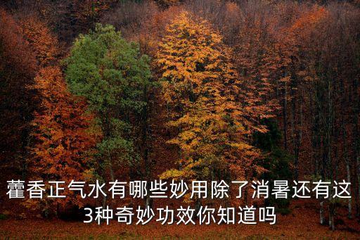 藿香正氣水有哪些妙用除了消暑還有這3種奇妙功效你知道嗎