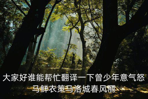 大家好誰能幫忙翻譯一下曾少年意氣怒馬鮮衣策馬洛城春風麗