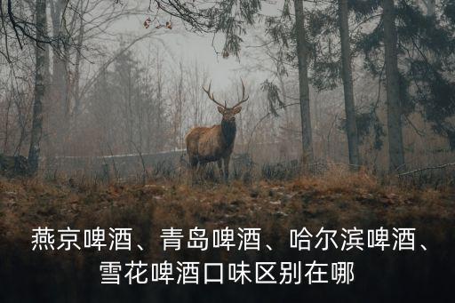 燕京扎啤,啤酒排名出爐哈爾濱青島啤酒得4分
