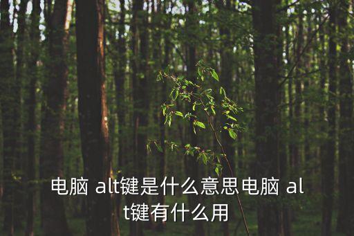 alt是什么鍵,什么是alt鍵?原來是這樣
