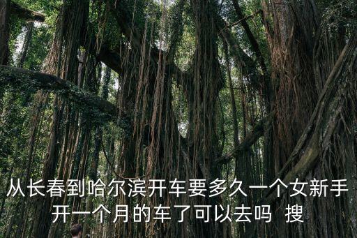 女新手，從長春到哈爾濱開車要多久一個女新手開一個月的車了可以去嗎  搜
