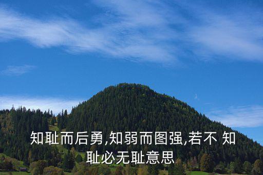  知恥而后勇,知弱而圖強,若不 知恥必無恥意思