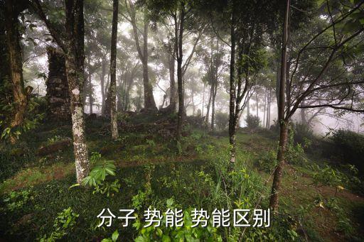  分子 勢能 勢能區別