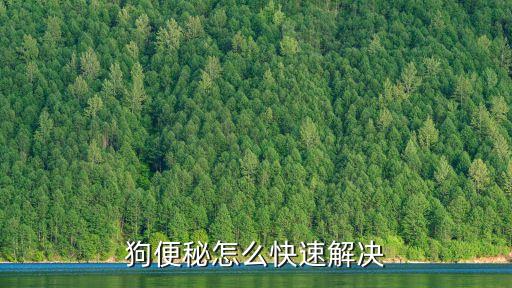 狗便秘怎么快速解決