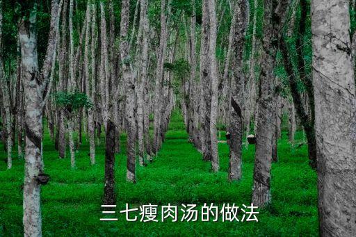  三七瘦肉湯的做法