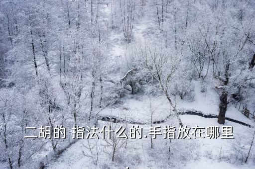 二胡指法圖,學習二胡指法先學位置再挑戰第二個位置