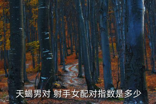 天蝎男射手女,天蝎男與射手女的愛情故事