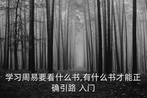 學習周易要看什么書,有什么書才能正確引路 入門