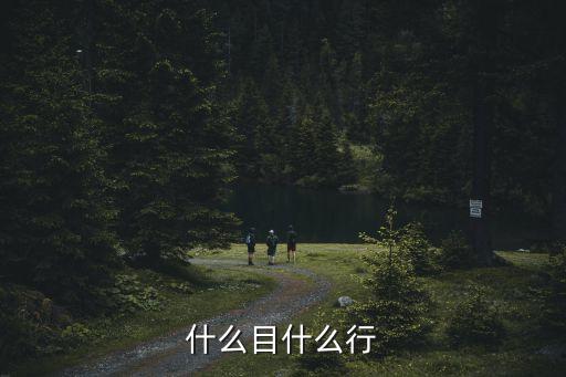 什么目什么行