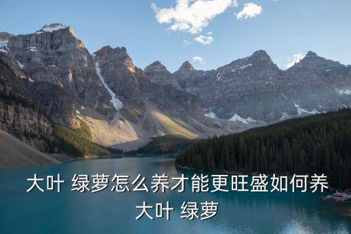 大葉綠蘿,春暖花開時大葉綠蘿進入生長期