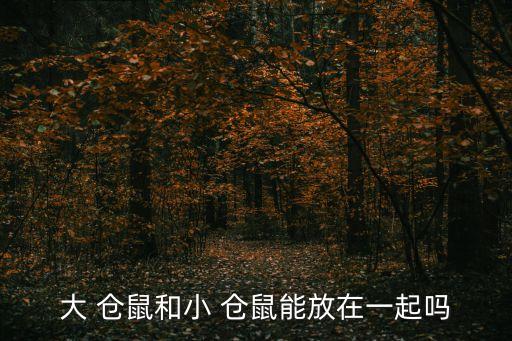 大 倉鼠和小 倉鼠能放在一起嗎