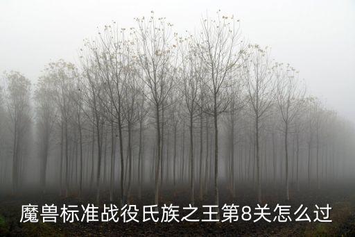 魔獸標準戰役氏族之王第8關怎么過