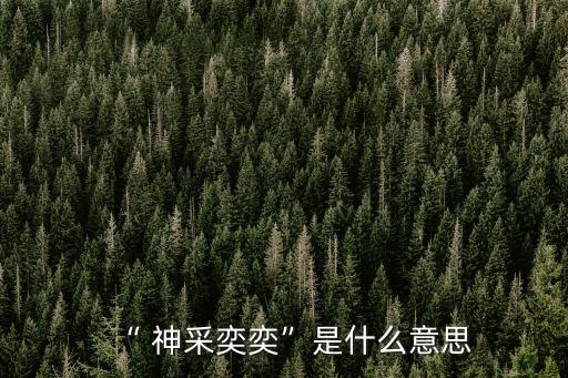 “ 神采奕奕”是什么意思