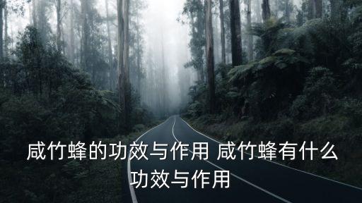  咸竹蜂的功效與作用 咸竹蜂有什么功效與作用