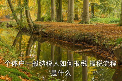 個體戶一般納稅人如何報稅 報稅流程是什么