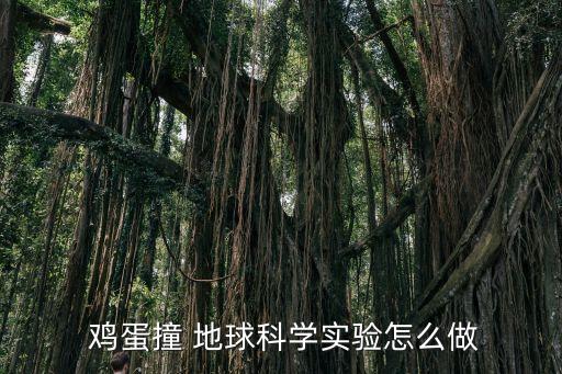 雞蛋撞地球,地球引力對雞蛋產(chǎn)生影響?正確步驟是這樣做