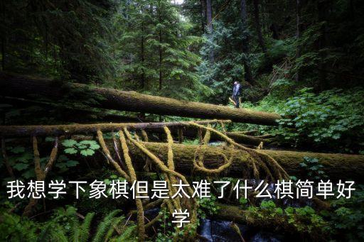 簡易象棋，我想學下象棋但是太難了什么棋簡單好學