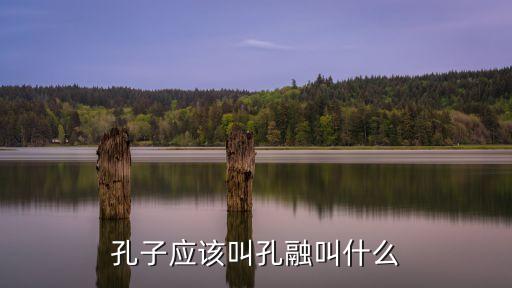孔融，孔融是孔子的誰