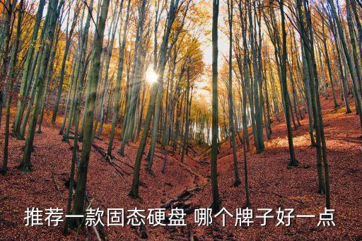 固態硬盤排行，推薦一款固態硬盤 哪個牌子好一點