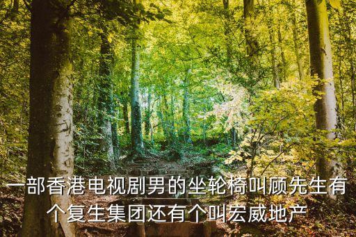 一部香港電視劇男的坐輪椅叫顧先生有個復生集團還有個叫宏威地產