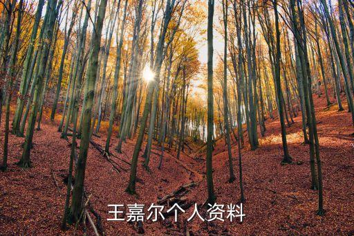 王嘉爾個人資料