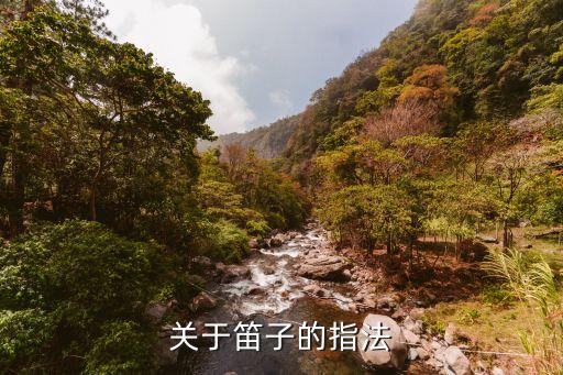 笛子的指法，關于笛子的指法