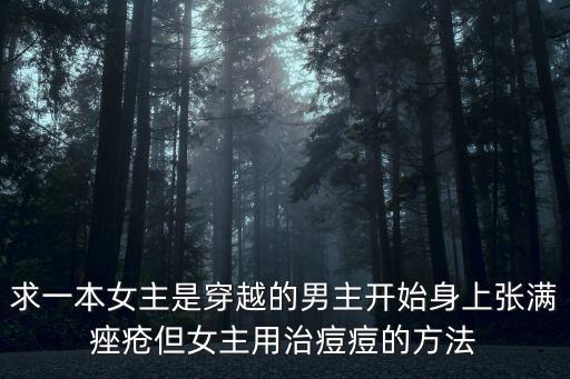 美玉天成，求一本女主是穿越的男主開始身上張滿痤瘡但女主用治痘痘的方法