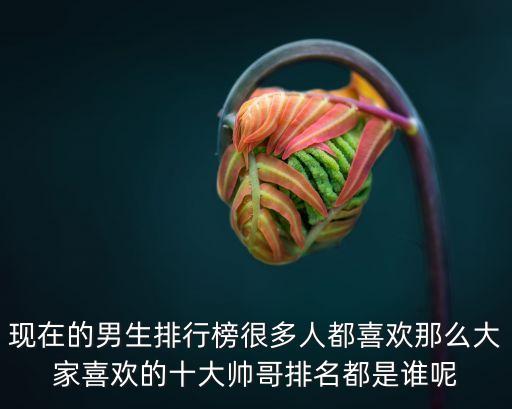 現在的男生排行榜很多人都喜歡那么大家喜歡的十大帥哥排名都是誰呢