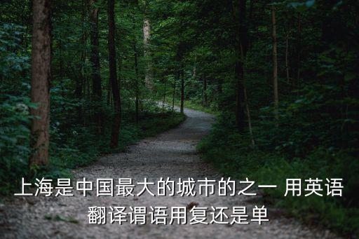 上海英文，上海比日本任何城市都大用英語怎么說