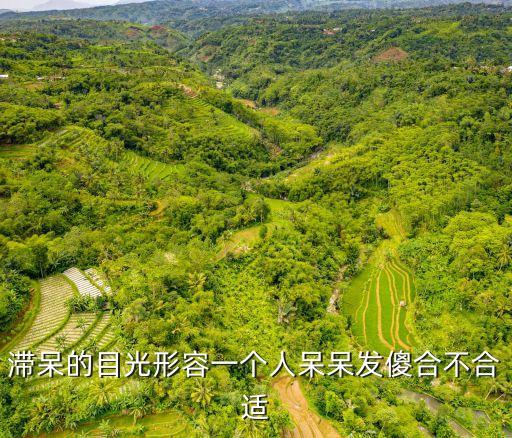滯呆的目光形容一個人呆呆發傻合不合適