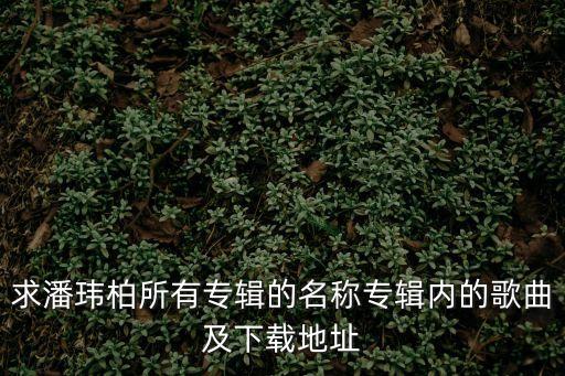 愛6，miss youlove 6是什么意思