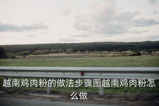 越南雞粉，越南有什么特色美食