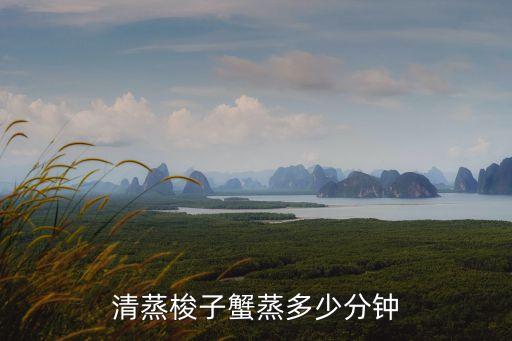 清蒸梭子蟹蒸多少分鐘