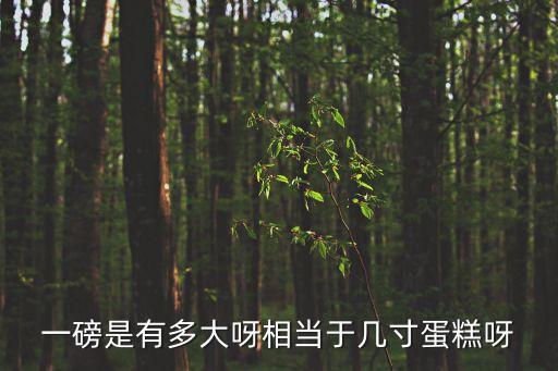 一磅是有多大呀相當(dāng)于幾寸蛋糕呀