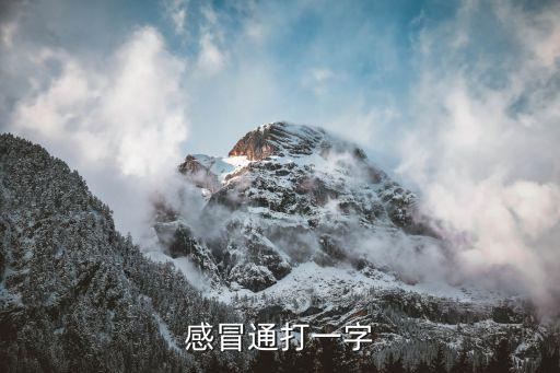感冒通，感冒通打一成語