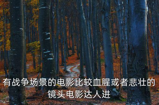 有戰(zhàn)爭(zhēng)場(chǎng)景的電影比較血腥或者悲壯的鏡頭電影達(dá)人進(jìn)