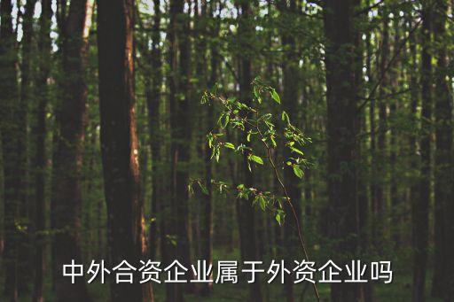 中外合資企業(yè)屬于外資企業(yè)嗎