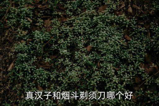 真漢子和煙斗剃須刀哪個好
