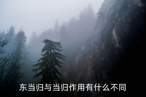 東當歸，東當歸與當歸作用有什么不同