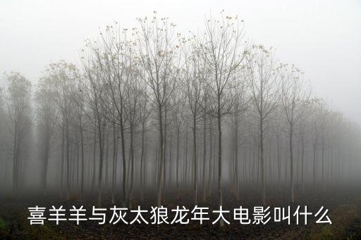 喜羊羊與灰太狼龍年大電影叫什么