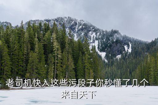 老司機快入這些污段子你秒懂了幾個 來自天下