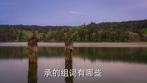 承組詞語，承連詞語涌動一一一
