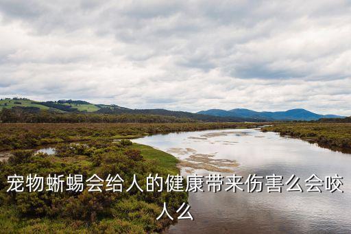 寵物蜥蜴，寵物蜥蜴會(huì)給人的健康帶來(lái)傷害么會(huì)咬人么