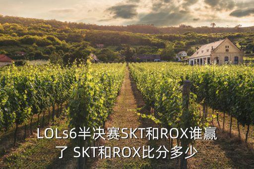 LOLs6半決賽SKT和ROX誰贏了 SKT和ROX比分多少