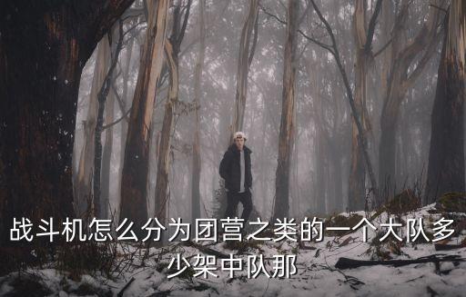 中國空軍編制，傘降與機(jī)降有什么區(qū)別嗎