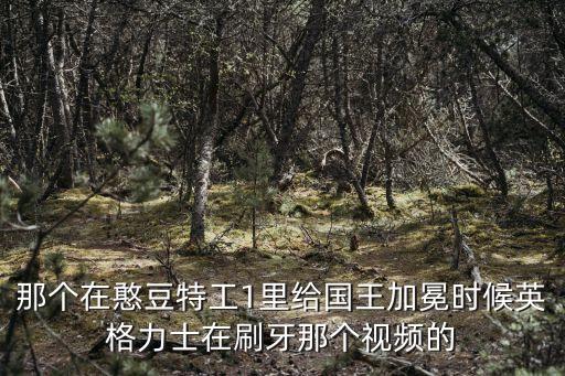 英格力士，憨豆先生電影版里面名字叫英格力士的電影名字是什么