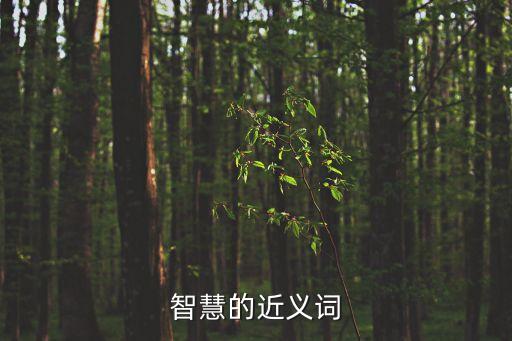 智慧的近義詞